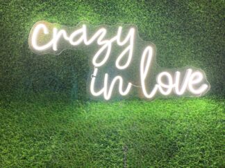 Crazy In Love Neon Sign